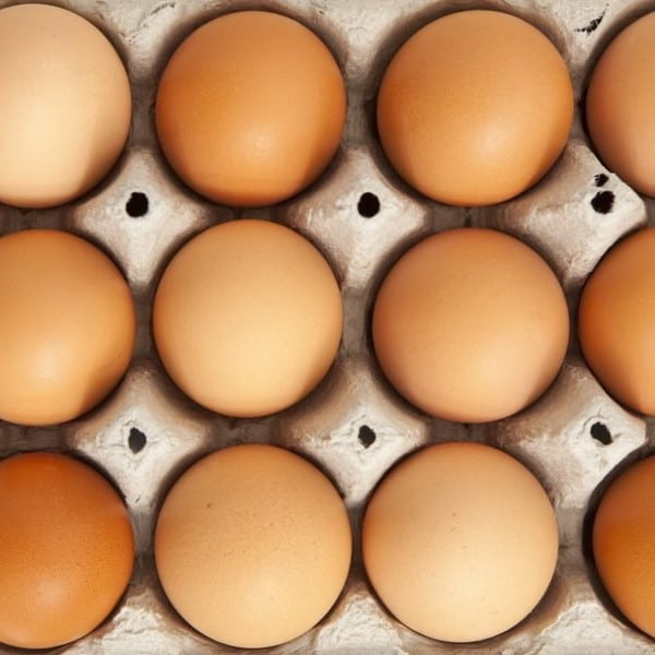 خرید و فروش تخم مرغ صادراتی قم با شرایط فوق العاده